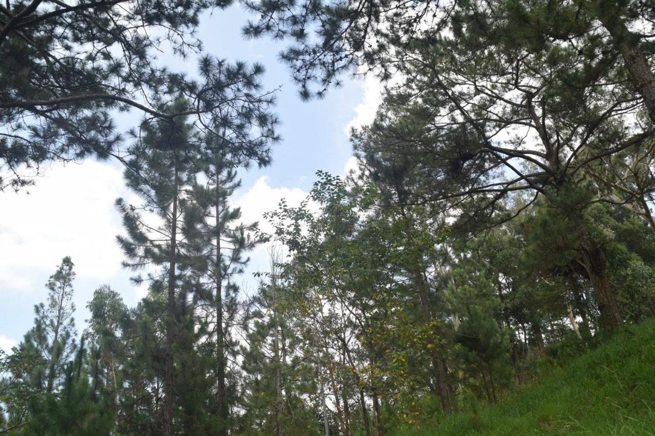 Hotel Pham Duy Dalat Exteriör bild